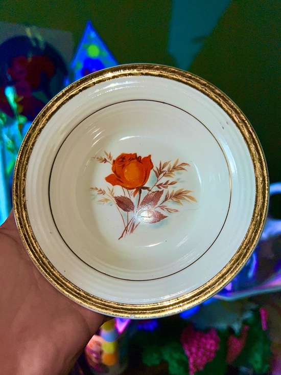 Other - vintage American Limoges Vermillion Rose bowl featuring a 22k gold rim
